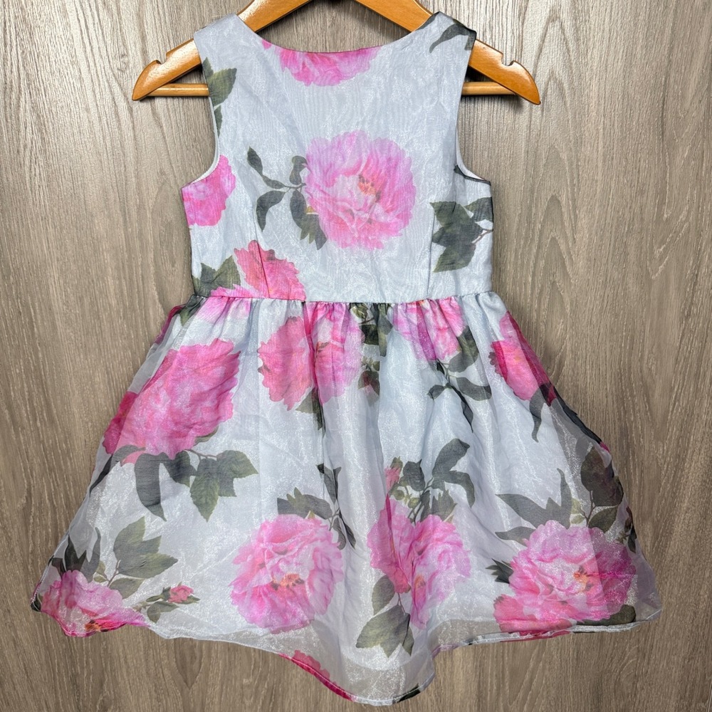 Pippa & Julie Floral Organza Dress Girls 2T Blue Pink Easter Party Shimmer